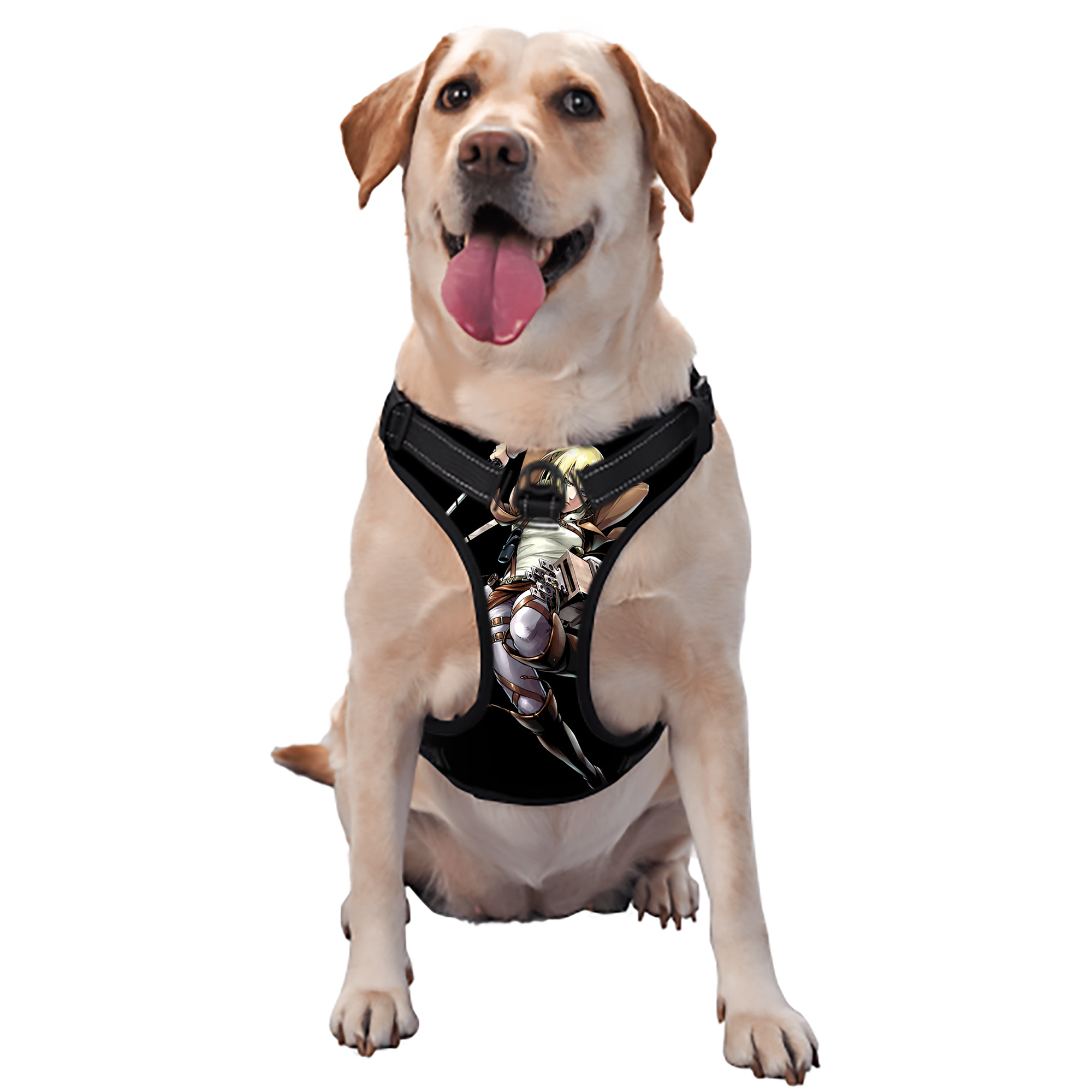 （画像用） 進撃の巨人 アニ・レオンハート Attack on Titan Annie Leonhart ペット用ハーネス
